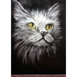 grey cat stain glass